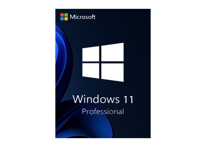 Windows 11 PRO License